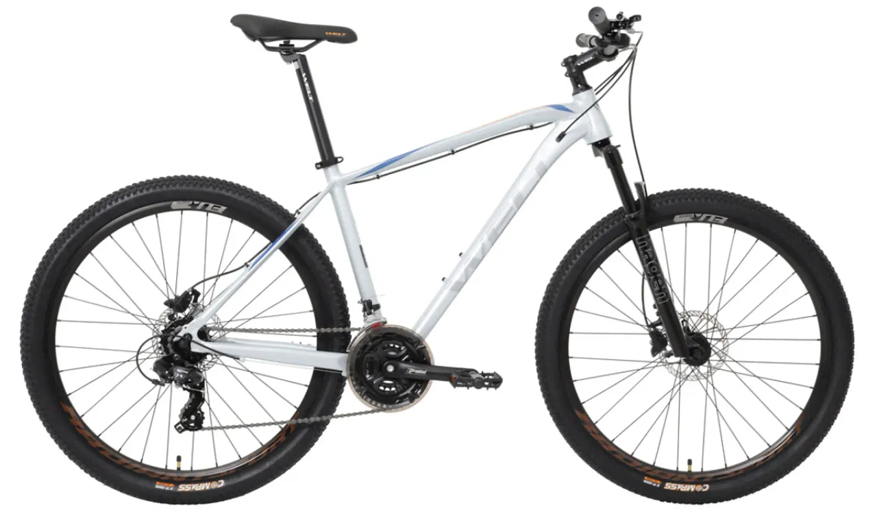 Welt Горный велосипед Welt Raven 1.0 HD 29 (2023)