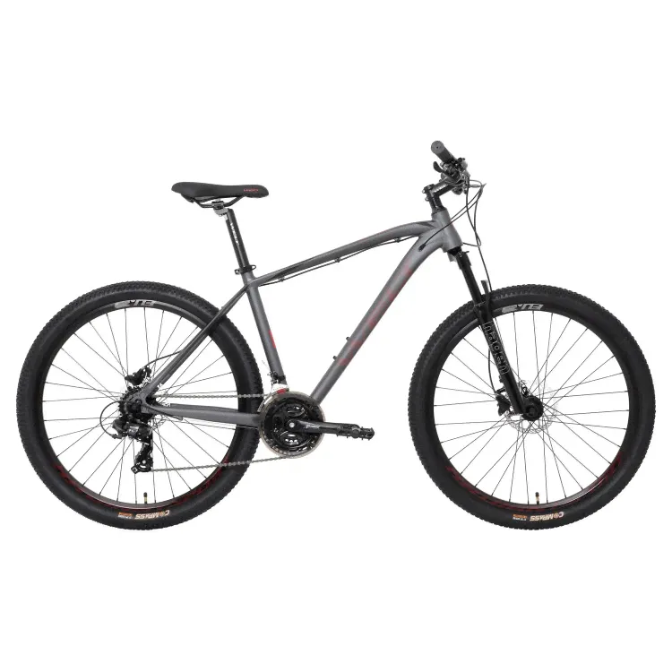 Горный велосипед Welt Raven 2.0 HD 29 (2023)