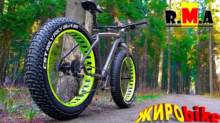 обзор фэтбайка WELT model FREEDOM 2.0 (2019 года - matt grey/green) fatbike 🐷👍