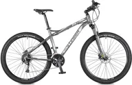 WELT Raven 1.0 HD 27 2024