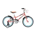 Welt Pony 18 2020