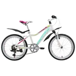 Welt Edelweiss 20 (2017)